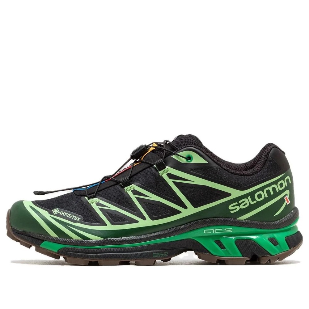 Salomon Black and Green Shoes